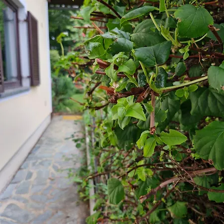 Feriendomizil 219 بيت للعطل Allerheiligen bei Wildon