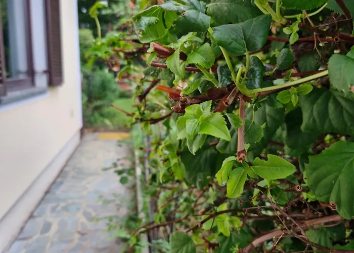 Feriendomizil 219 بيت للعطل Allerheiligen bei Wildon